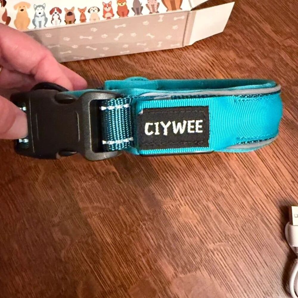 Ciywee led light up air tag dog collar in Teal size medium USB Rechargeable